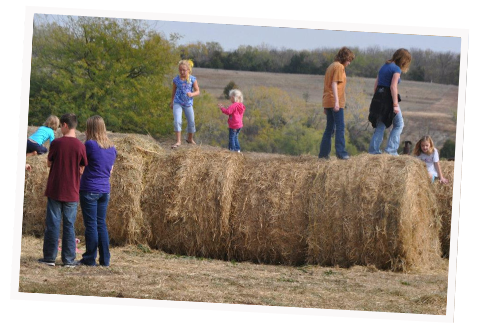 A Day at the Farm